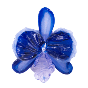 dije orquídea azul